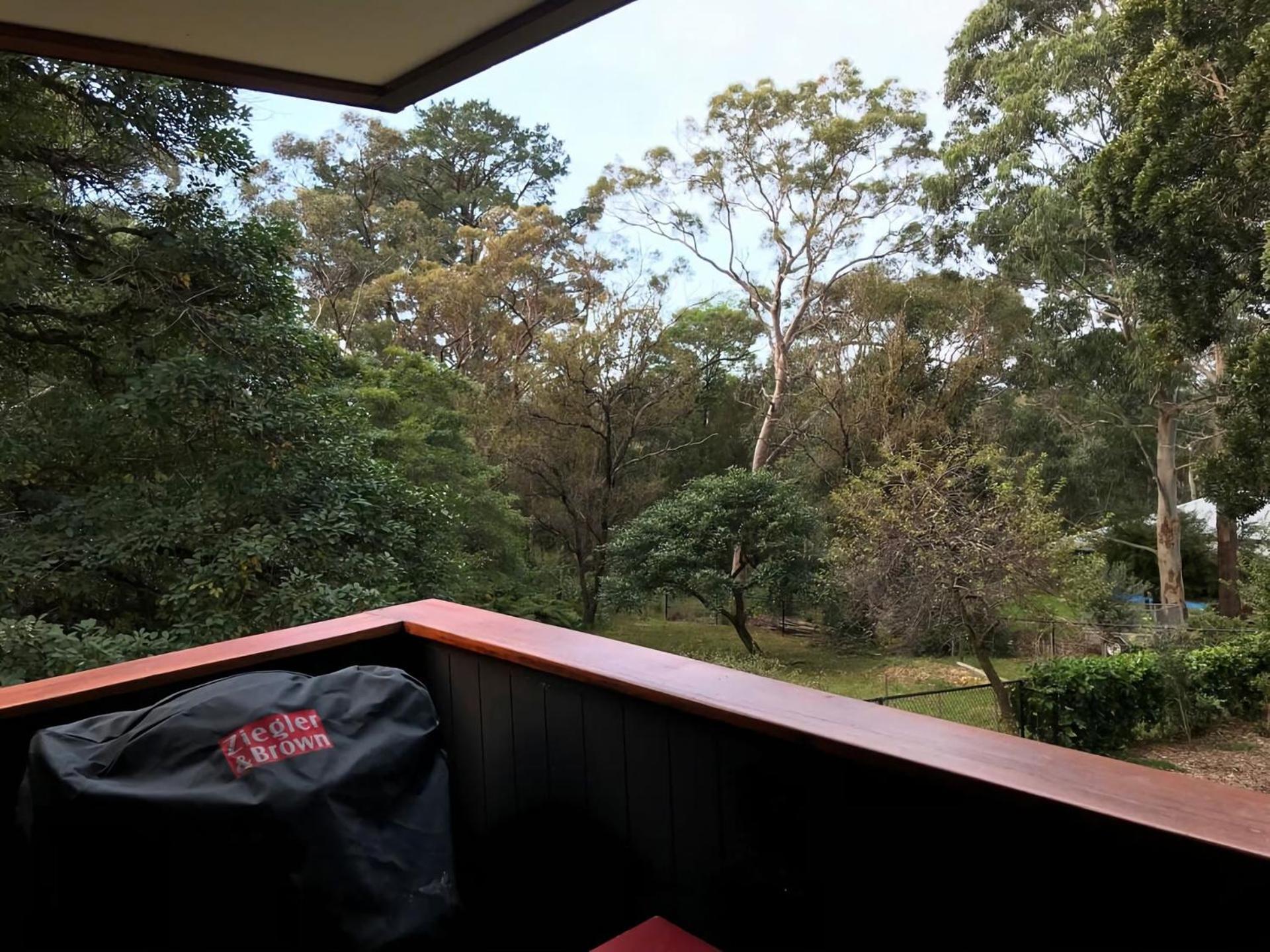 Architecturally Designed Nature Lovers Delight Faulconbridge المظهر الخارجي الصورة